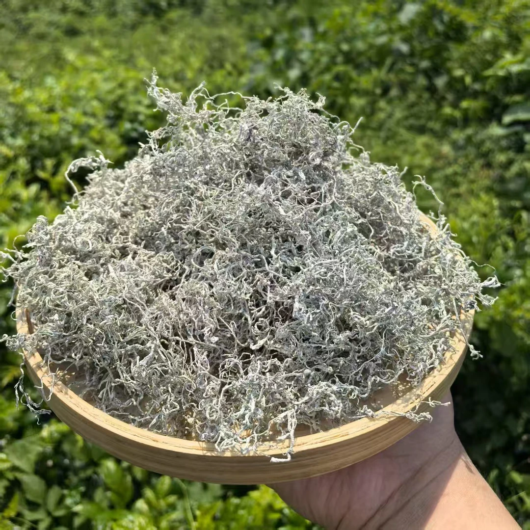 【阿宇推荐】----藤茶