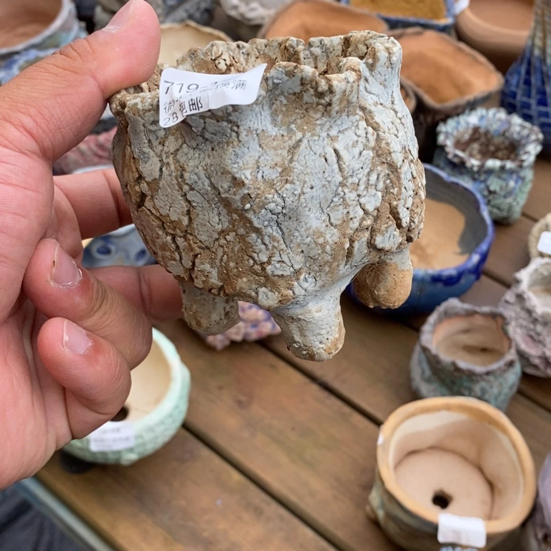 17号随单发福利啦啦