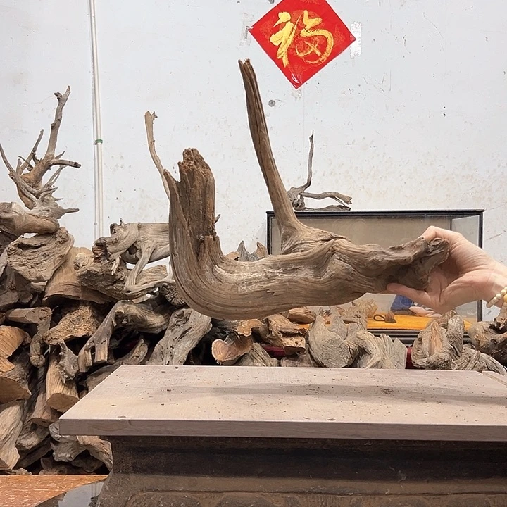 柏木木****店我们都是好孩子