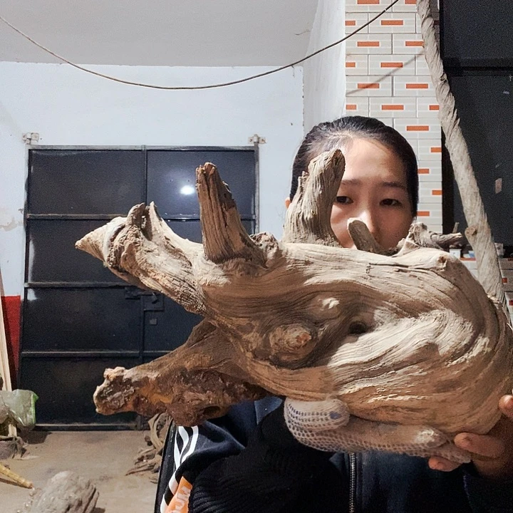 柏木（崖柏）1****4太行山区