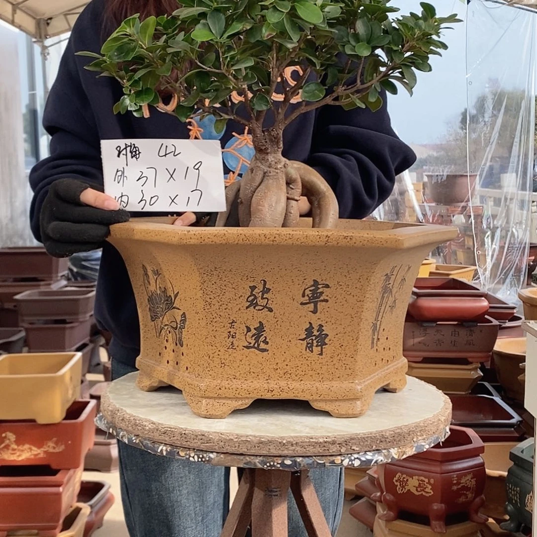 花盆紫砂紫砂花盆