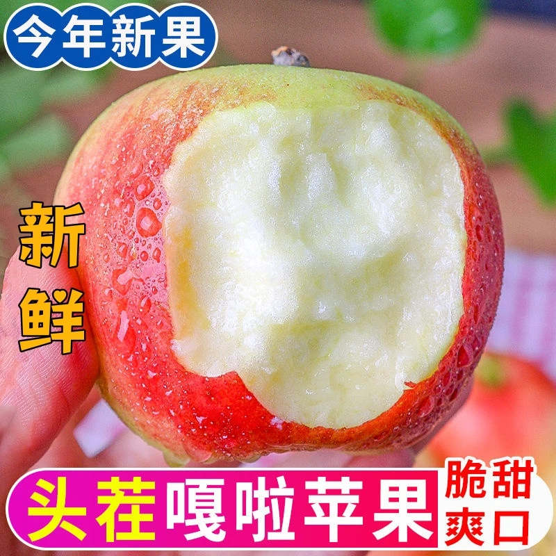 2025应季正宗头茬嘎啦苹果新鲜粉面小苹果老果树现摘现发脆甜爽口