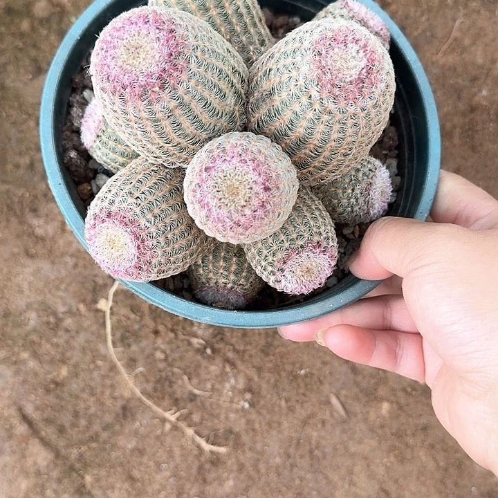 ?**?哈哈哈哈哈哈哈哈哈哈