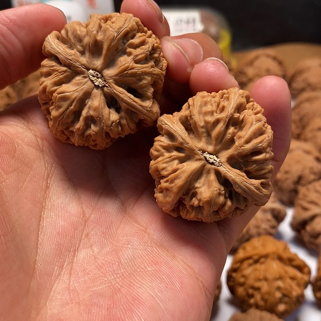 吊坠文玩核桃39尺寸全品粗筋