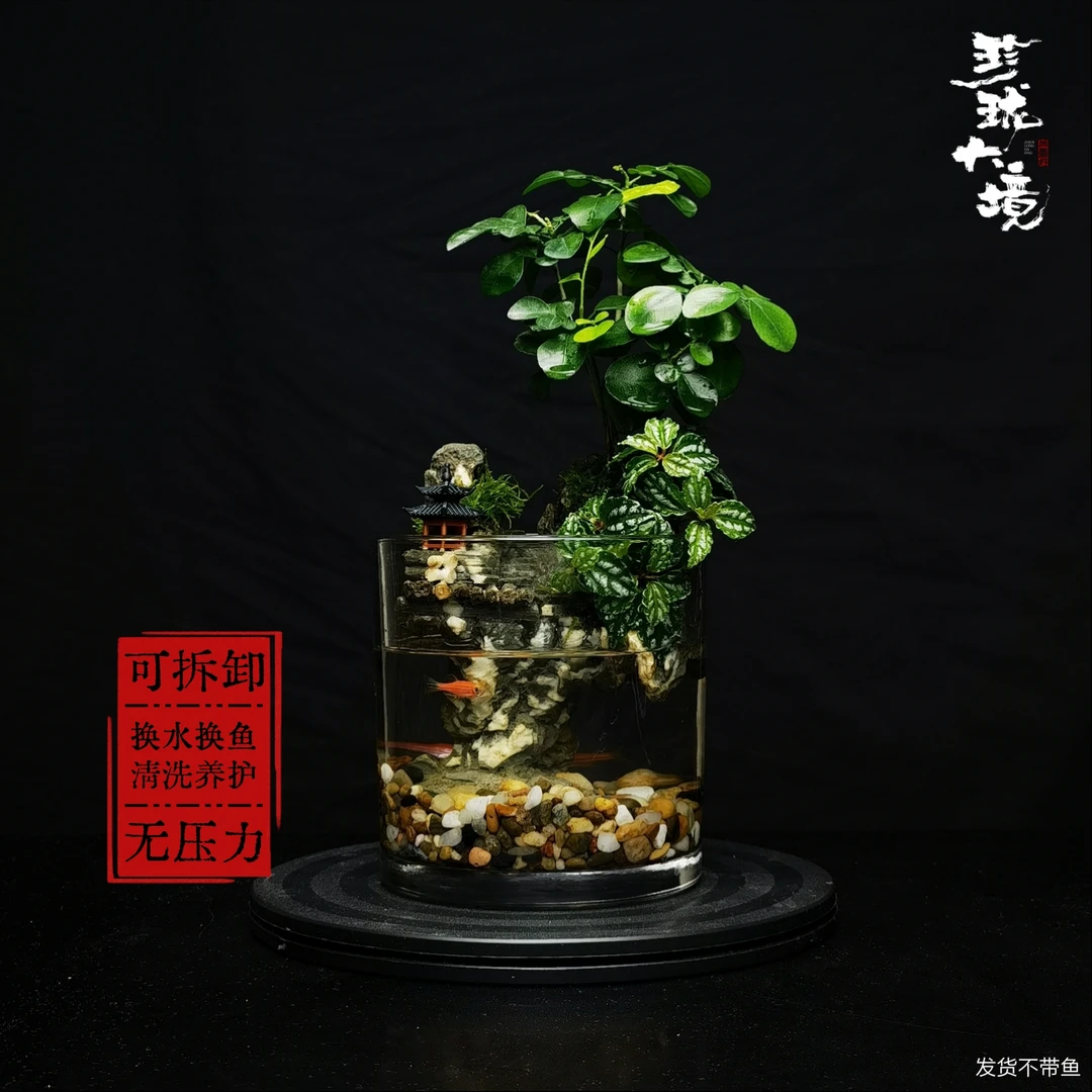 [九里飘香2.0Ma]小叶九里香创意绿植驱蚊室内国风摆件鱼缸12*12cm