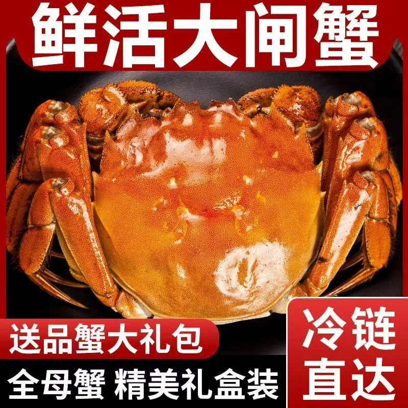 【活蟹】拍6只送2只 3.1-2.8两+全母蟹8只/10只苏州精品大闸蟹冷链