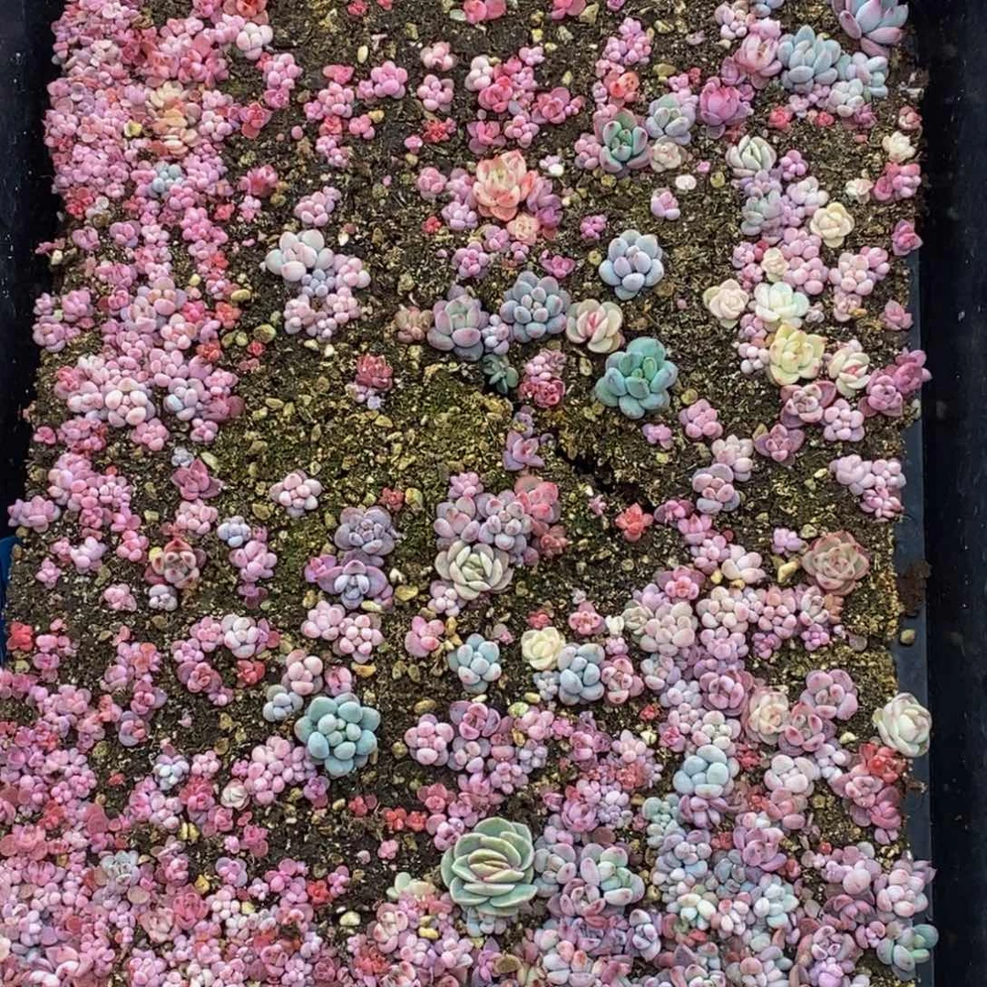 040的我是一个人的时候就会