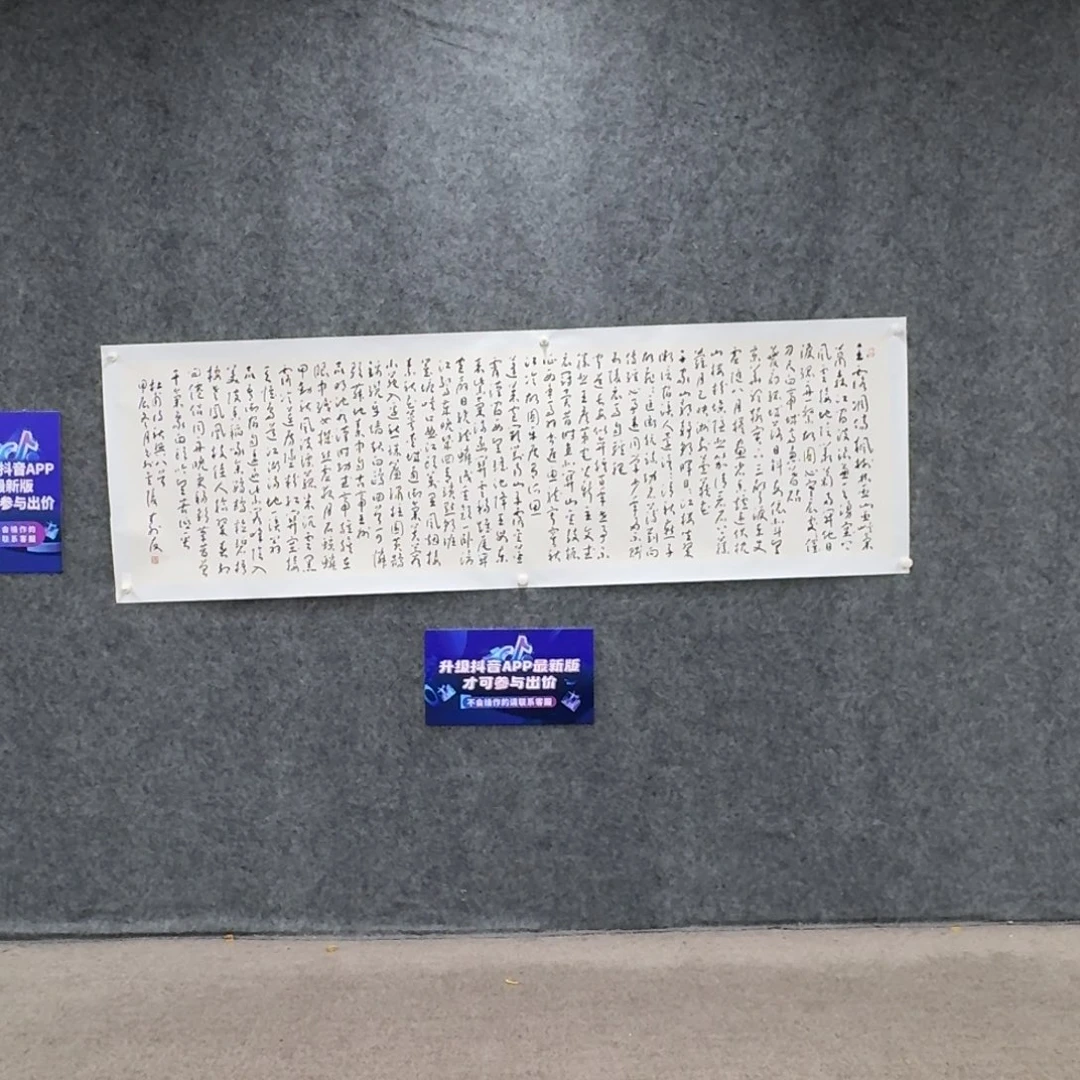 书法书法作品ZSY老师