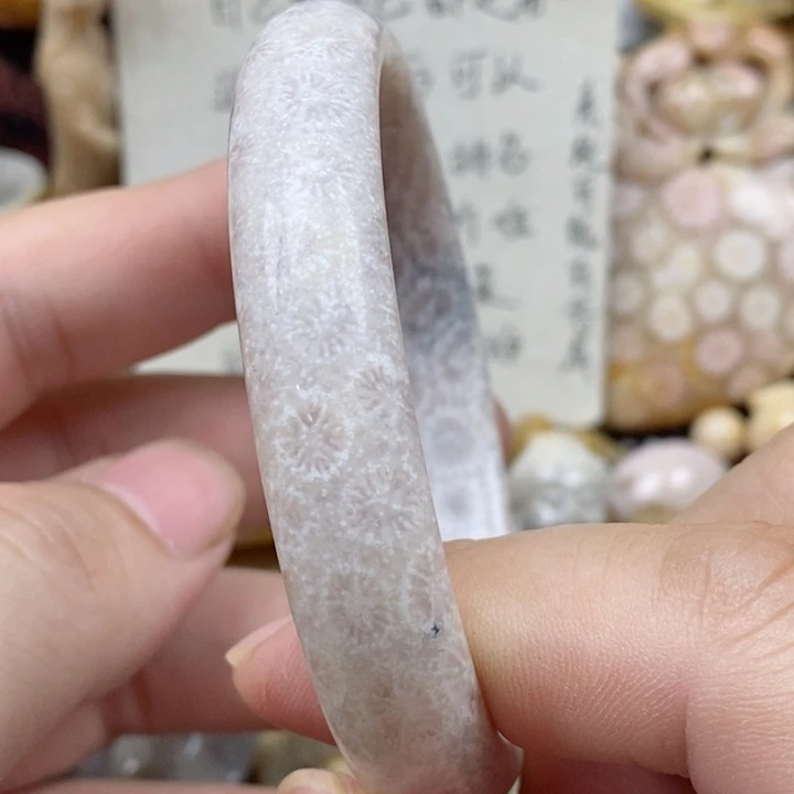 硅化珊瑚（珊瑚玉）未镶嵌颈饰