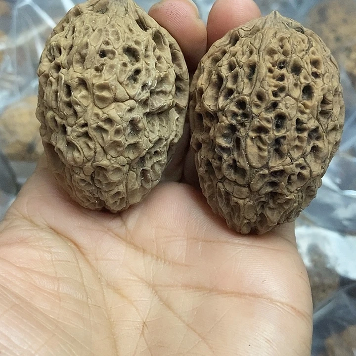 把件文玩核桃云南铁核桃基地57