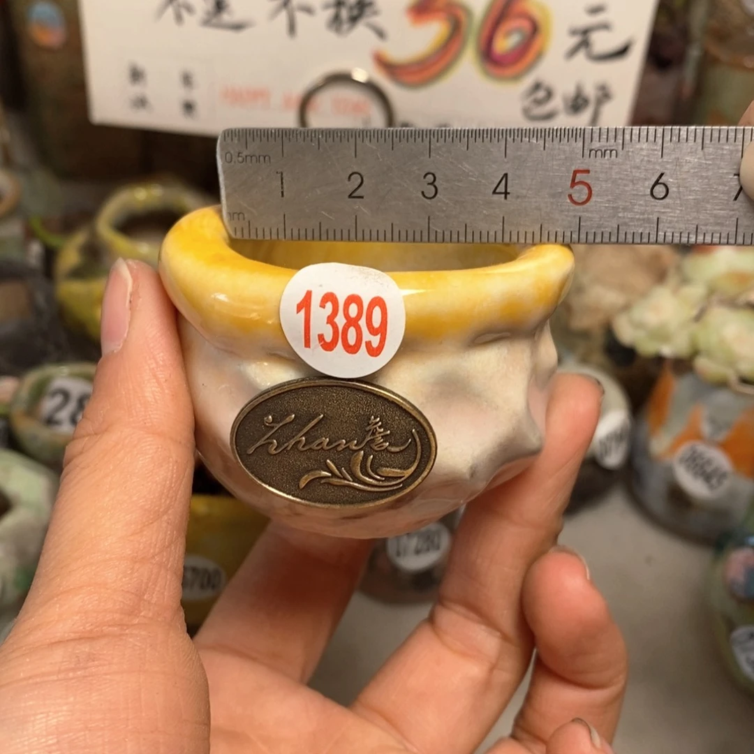 花盆拍5送一个小礼物