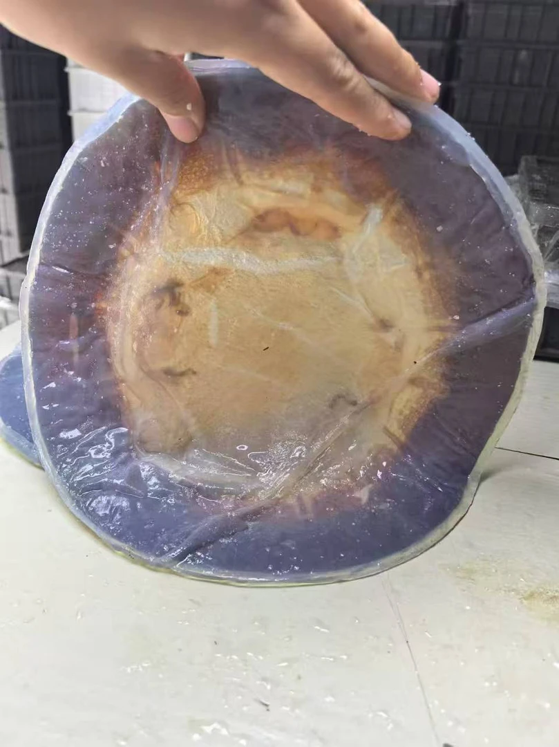(纯干皮)盐渍海蜇皮 产地 渤海湾