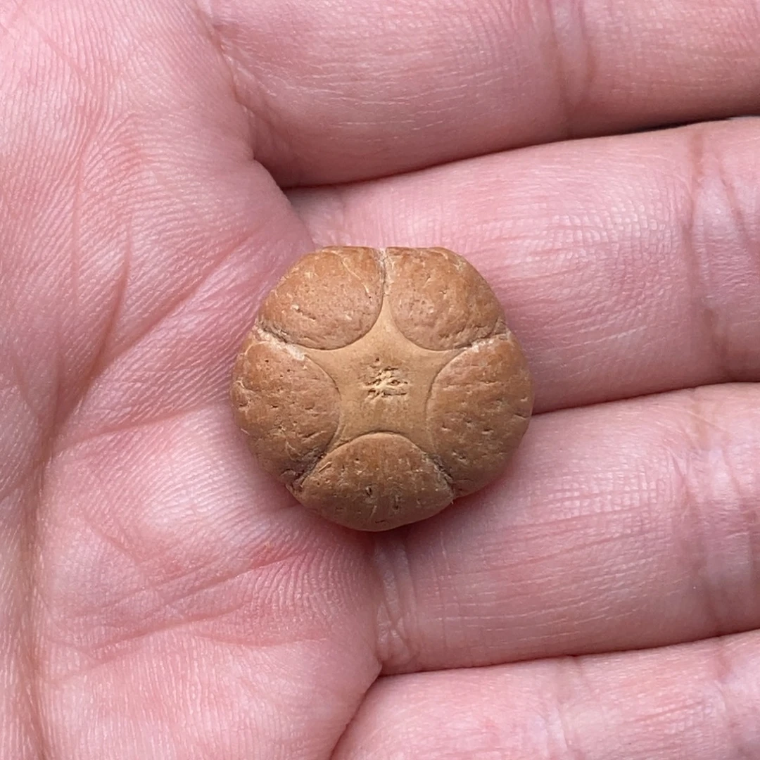 一***️凤眼菩提把件五星21.2mm定制打孔不退换