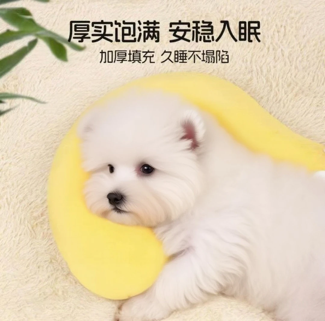 狗狗小枕头四季通用玩具宠物垫子颈枕睡觉用猫咪夏天毛毯狗窝用品