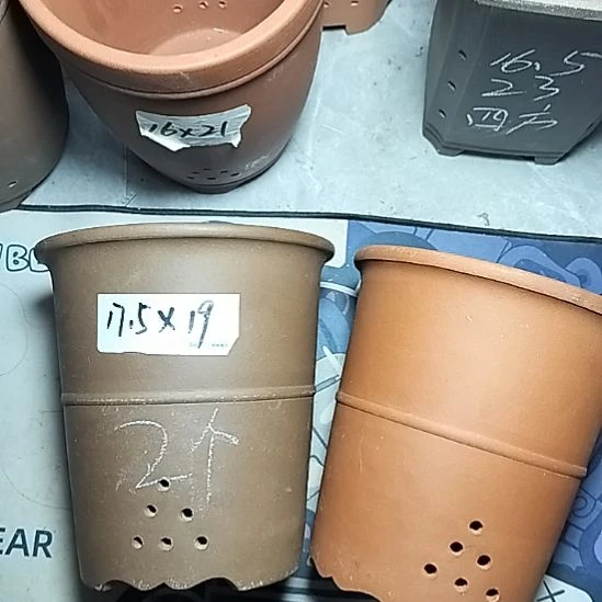 红泥紫泥腰缠万贯两个微瑕
