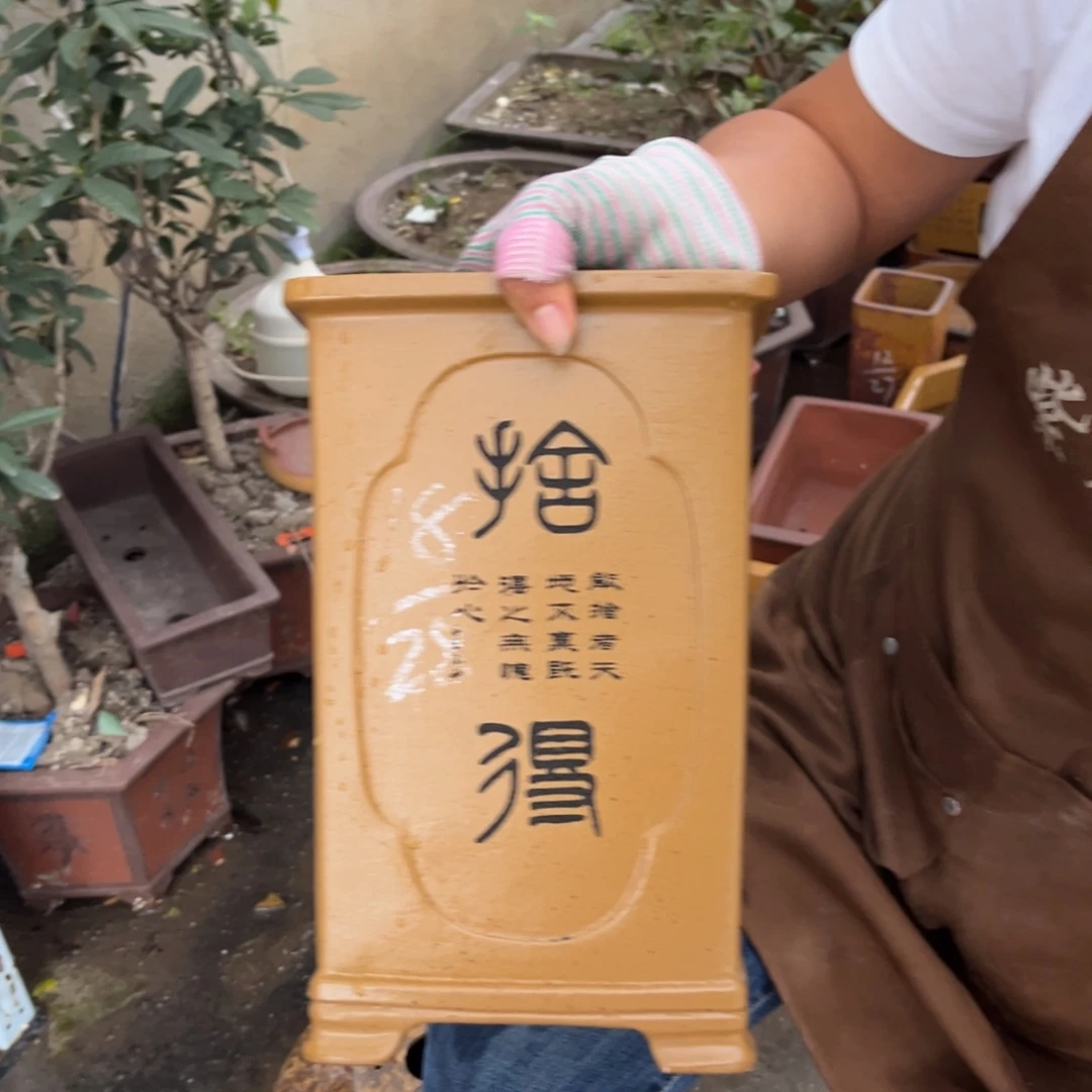 紫砂花盆盆景艺术