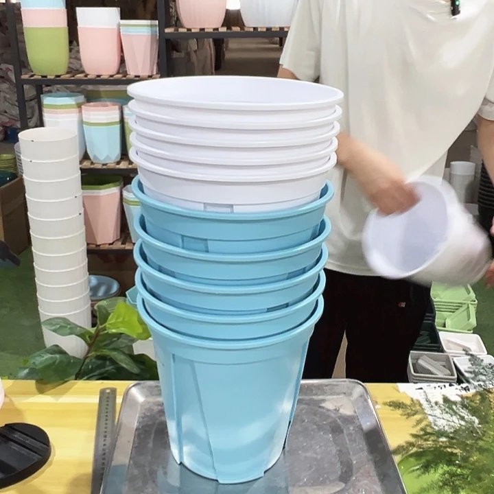 特价青山210口21高21混色无托10只