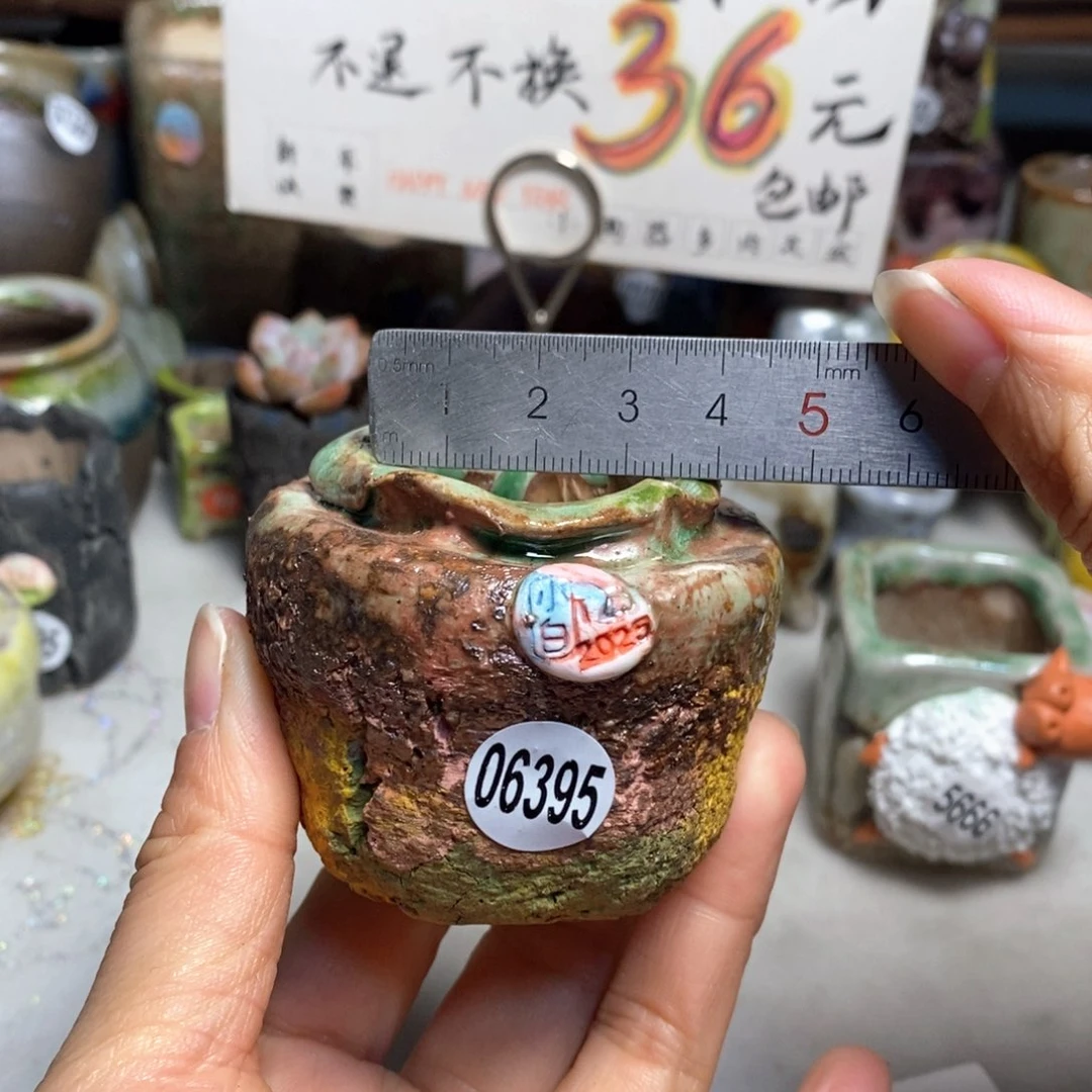 花盆拍3送一个小礼物