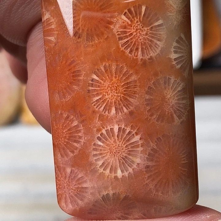 甄***儿硅化玉未镶嵌颈饰