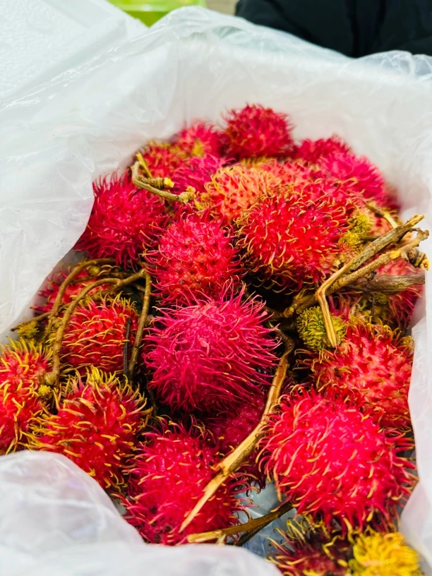 新鲜红毛丹3斤装