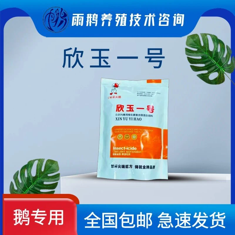 辽鞍呆头鹅欣玉一号