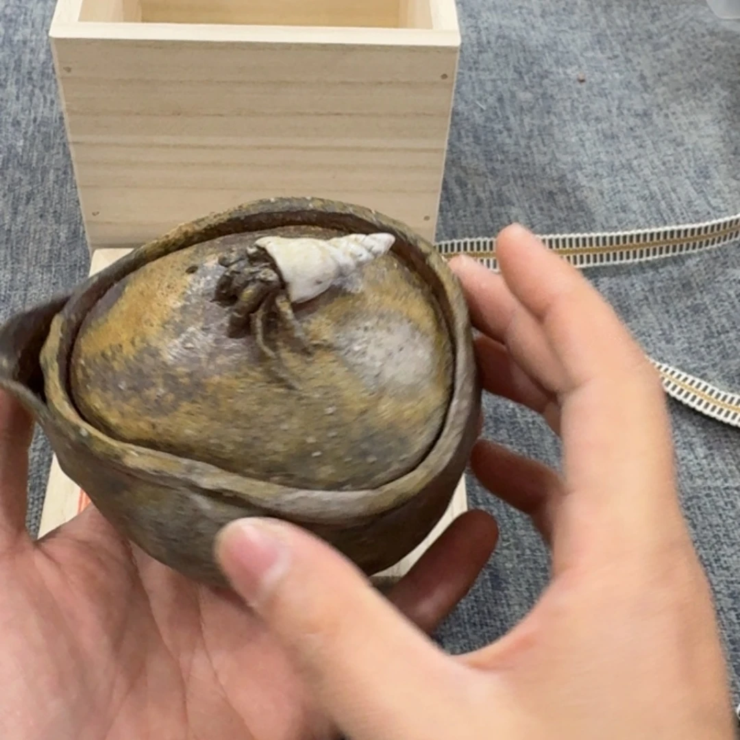 非常美丽漂亮的物品
