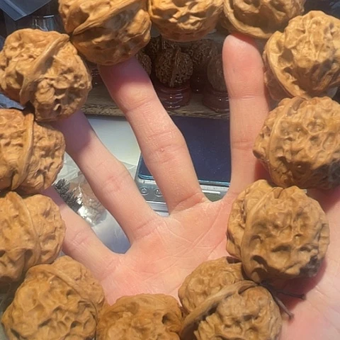 文玩核桃手串聚宝金蟾12粒带彩37