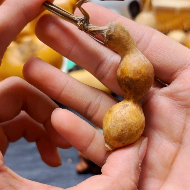 崔*o88888888888888888