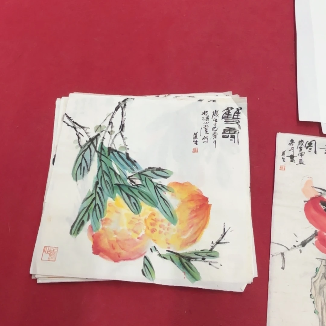 国画花鸟的翅膀和翅膀是