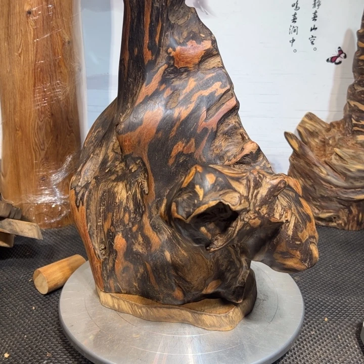 头***界木直播间一物一拍