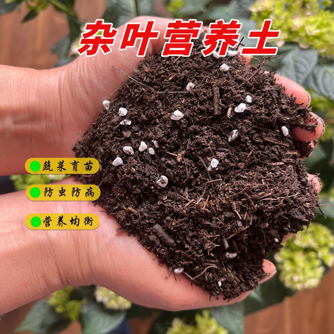 云南杂叶土（今日拍10升送2升到手12L）疏松透气育苗蔬菜专用
