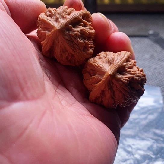 文玩核桃把件诸**明