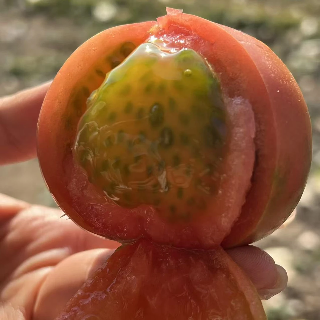 【草莓番茄4斤】酸甜多汁/铁皮西红柿/密云直发/现采现发