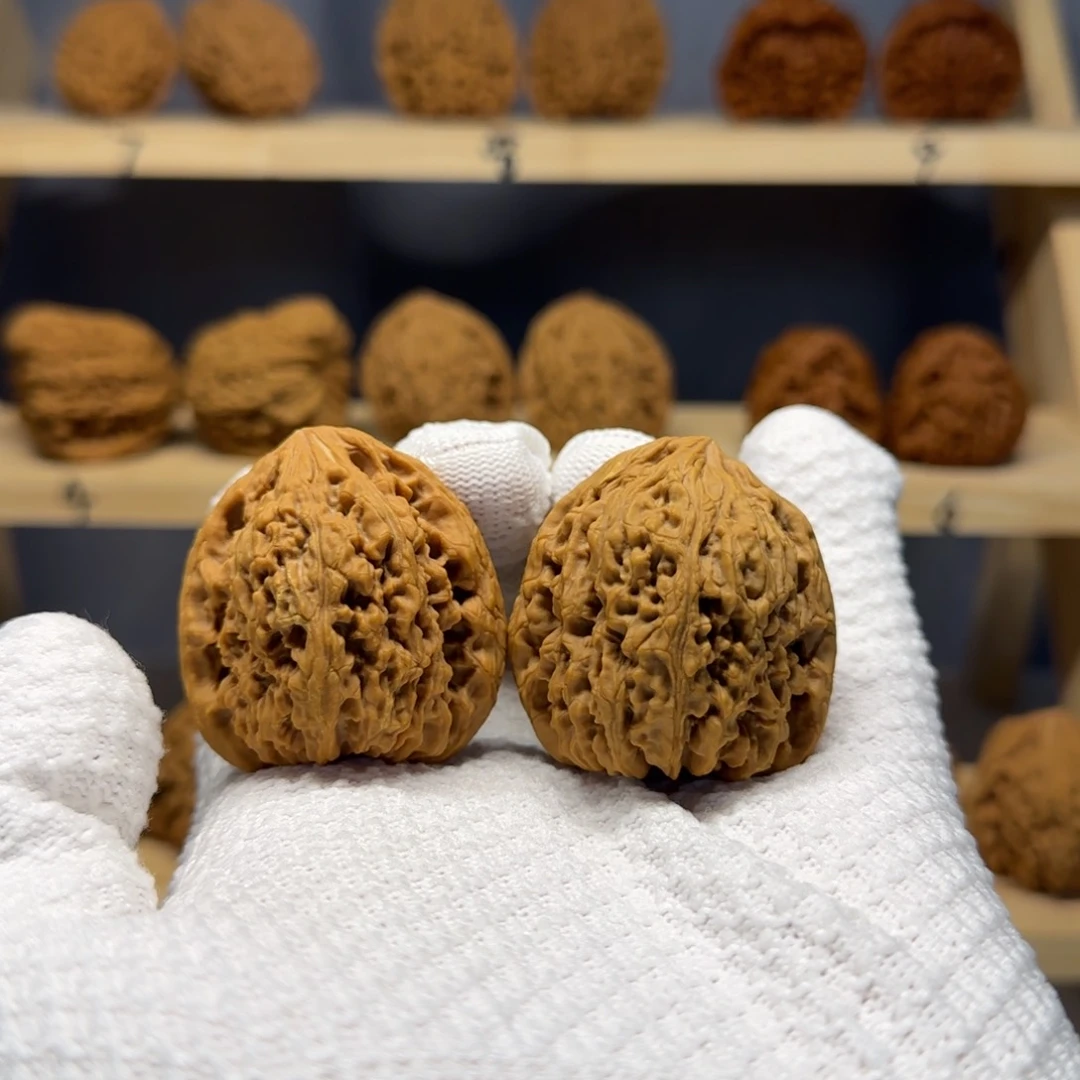 【闪购商品】乌*丑炮