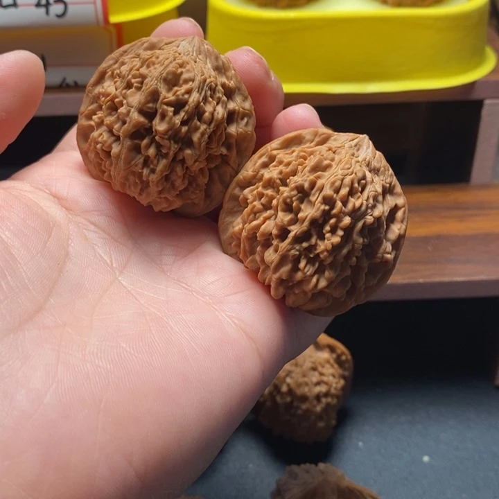 全品无修满天星42