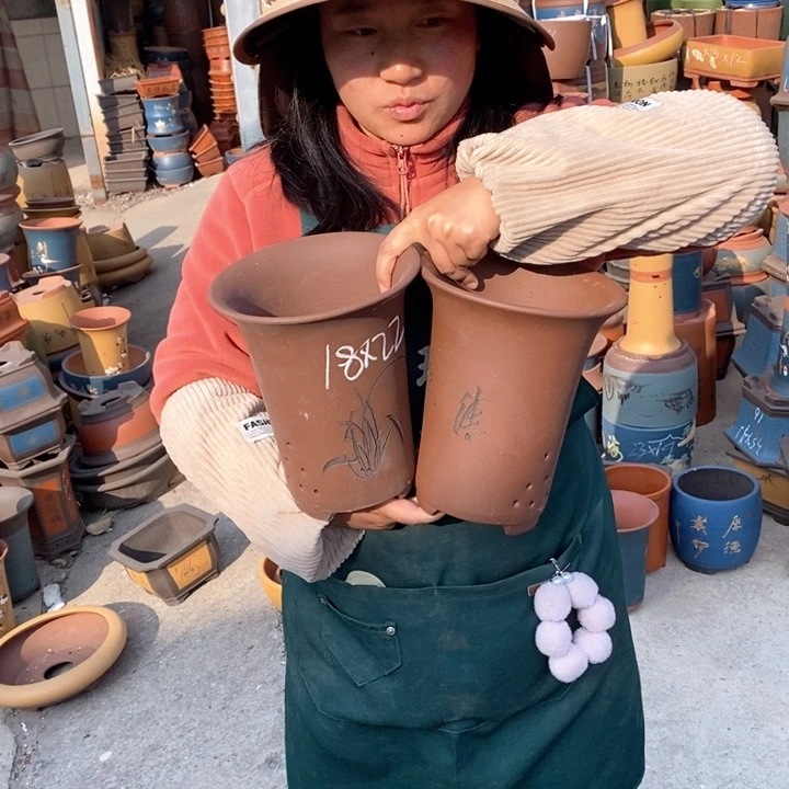 紫砂花盆盆栽花卉苗木种植