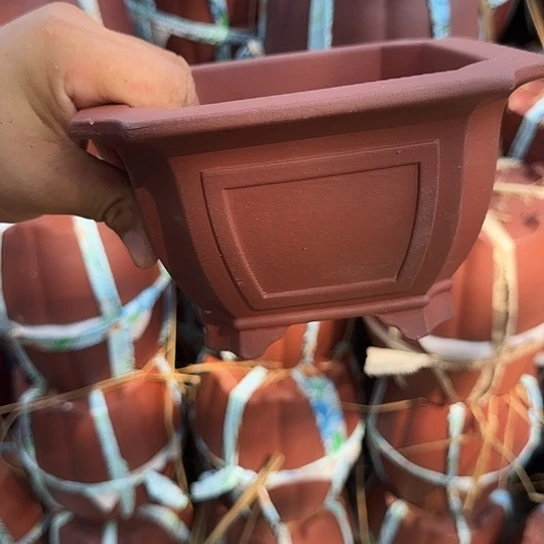 你不说不想啊就说一