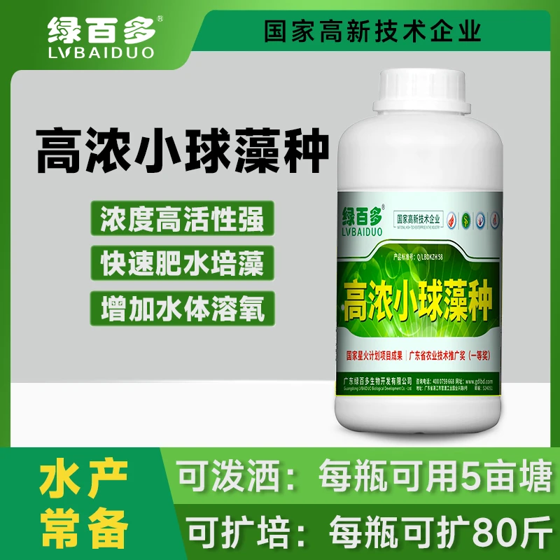 高浓小球藻藻种浓度高活性强快速肥水培藻增加水体溶氧抑制蓝藻