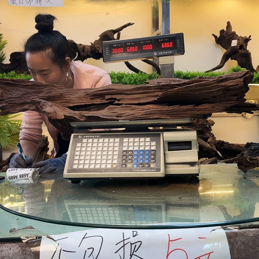 柚木一***草沉木鱼缸造景