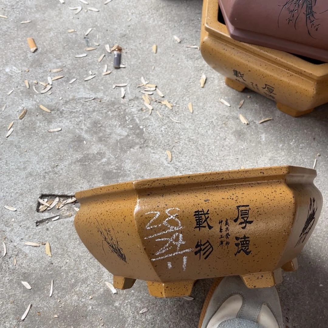 花盆紫砂盆景艺术