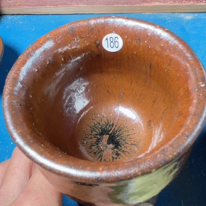 茶宠盏盏灯都是我的爱啊