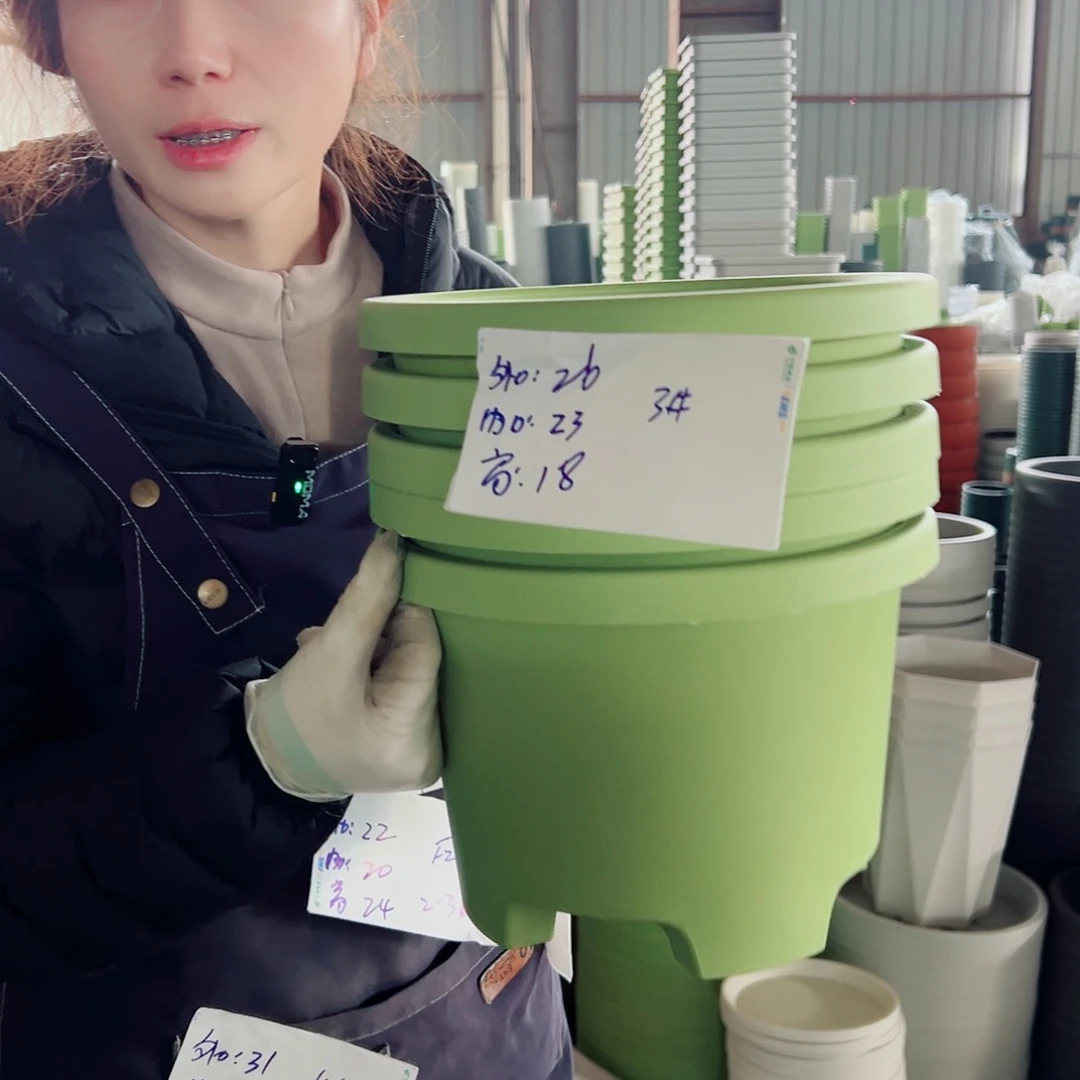 球根盆3#果绿5个无托