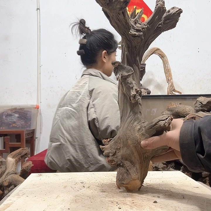 柏木J****邦我们都是好孩子啊