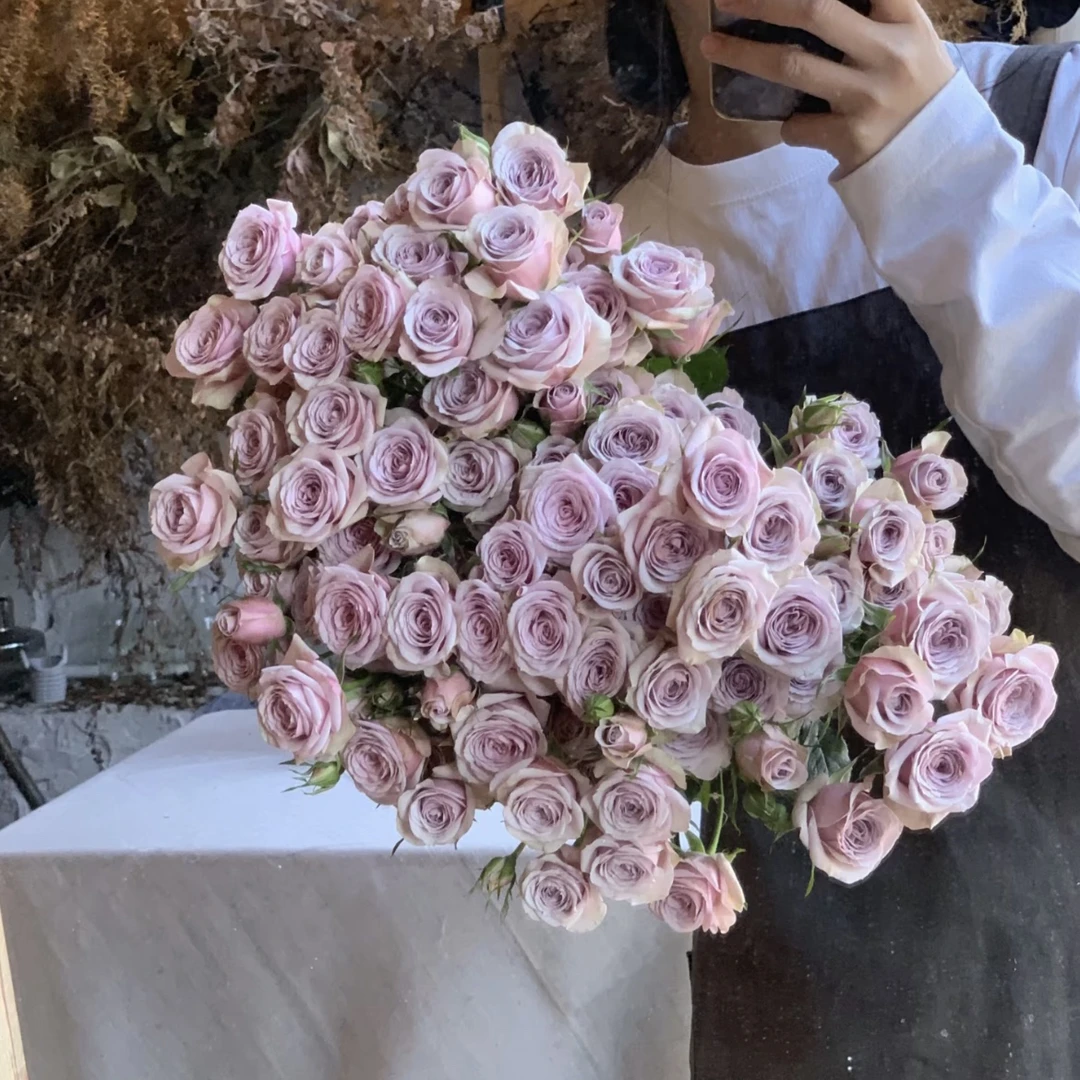 【今喜花舍】（多头）莱拉  0°以下地区记得拍保温棉哦！！！