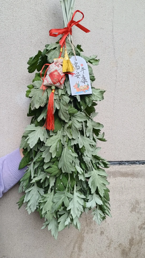 端午节艾草菖蒲门挂