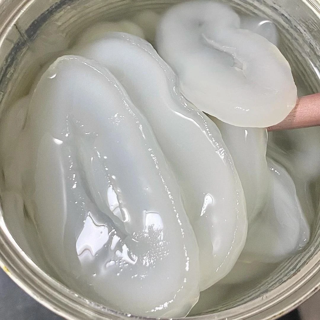 水妈妈海底椰罐头糖水罐头棕榈果罐头即食白玉丹罐头烘焙茶饮原料