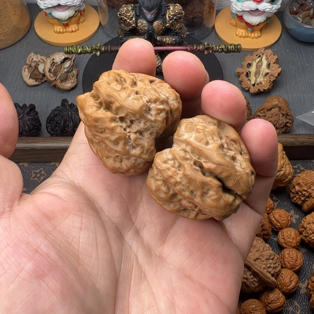 41边44肚蛤蟆头四开背