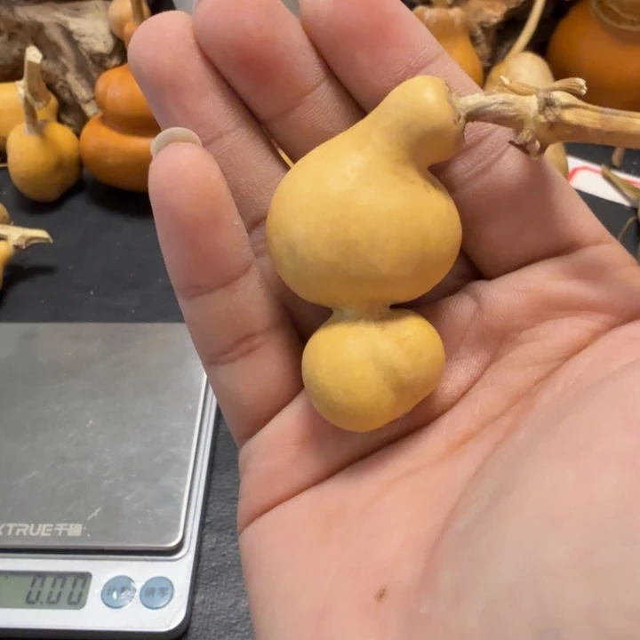 ****酷色差888888888888