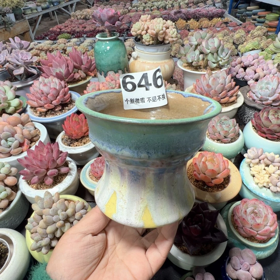 花盆满50发货 内口10