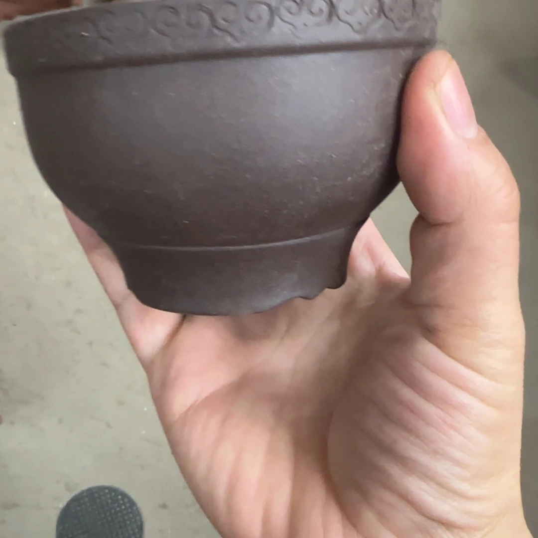 红陶福利秒杀活动